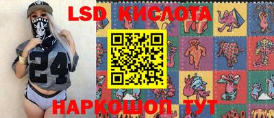 прущие грибы Пушкино