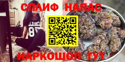 прущие грибы Пушкино