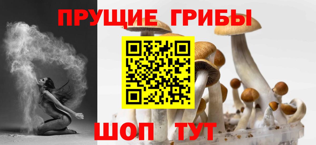 Псилоцибиновые грибы MAGIC MUSHROOMS  Вход с VPN  Подольск 